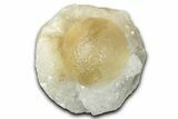 Botryoidal Yellow Fluorite on Quartz - India #342395-1